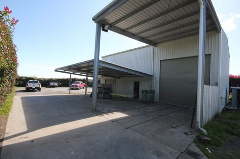 Photo of property in 11r Carmichael Road, Bethlehem, Tauranga, 3110