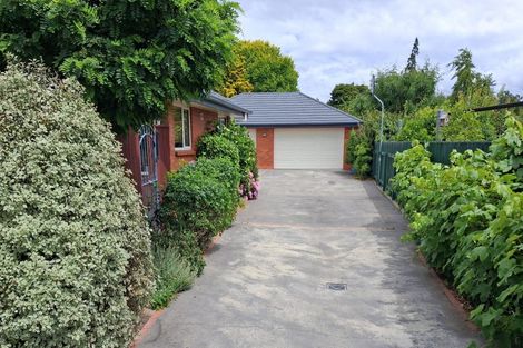 Photo of property in 49a George Street, Blenheim, 7201