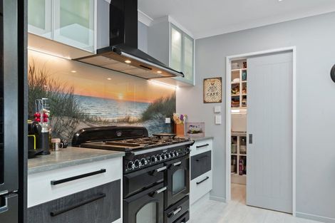 Photo of property in 14 Deans Place, Amberley, 7410