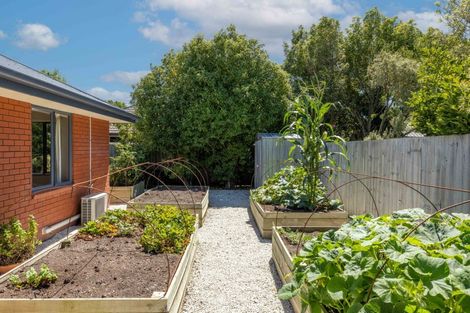 Photo of property in 6 Pascoe Drive, Woodend, 7610