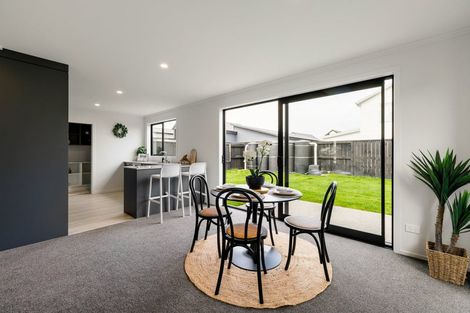 Photo of property in 21 Guillaume Street, Chartwell, 3210