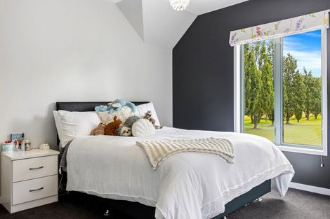 Photo of property in 9 Benashet Drive, Lincoln, 7608