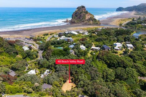 Photo of property in 48 Beach Valley Road, Piha, 0772