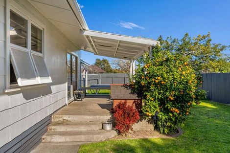 Photo of property in 326 Ormond Road, Riverdale, Gisborne, 4010
