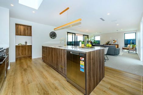 Photo of property in 87 Whitehorn Drive, Lincoln, 7608