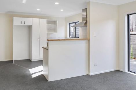 Photo of property in 3u3 Palmerston Street, Hamilton Central, Hamilton, 3204