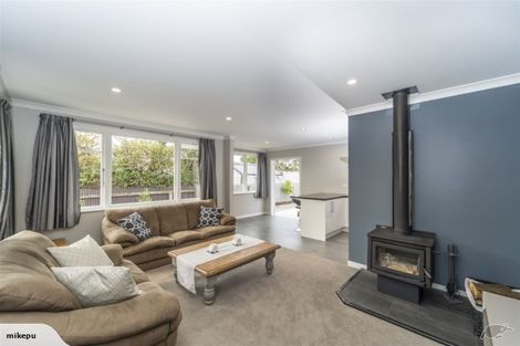 Photo of property in 119 Colombo Road, Masterton, 5810