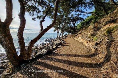 Photo of property in 4/281 Maunganui Road, Mount Maunganui, 3116
