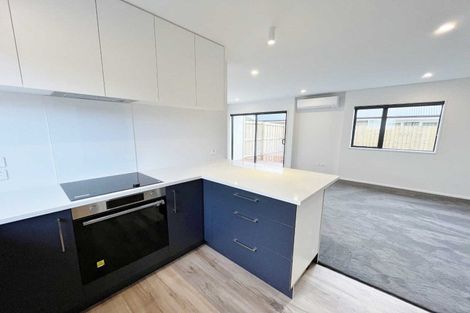 Photo of property in 173b Geraldine Street, Edgeware, Christchurch, 8013