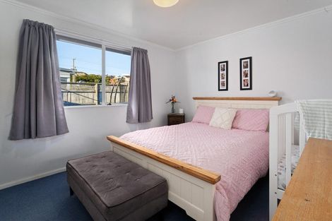 Photo of property in 101 Lowe Avenue, Thames, 3500