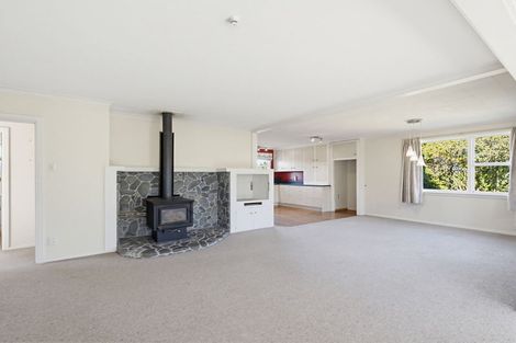 Photo of property in 24 Alington Street, Methven, 7730
