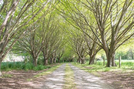 Photo of property in 230 Lees Road, Kaiapoi, 7691