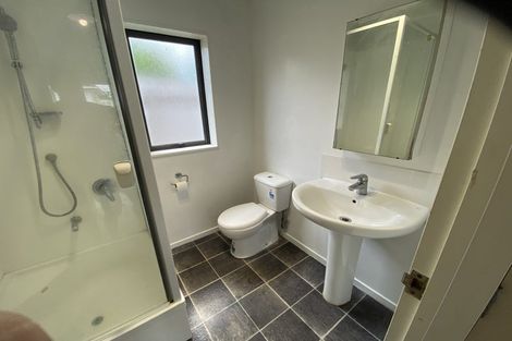 Photo of property in 17 Hockin Place, Fairfield, Hamilton, 3214