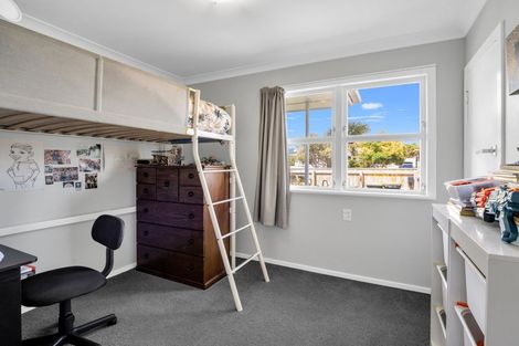Photo of property in 17 Ferguson Street, Levin, 5510