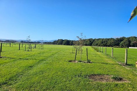 Photo of property in 35 Woven Stone Way, Ohau, 5570