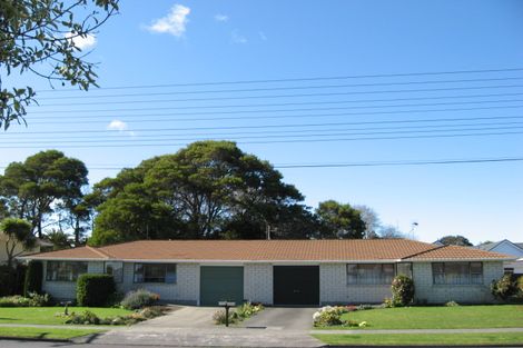 Photo of property in 43 Skerman Street, Marton, 4710