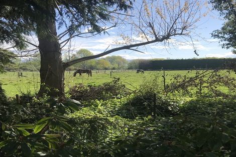 Photo of property in 231 Brasell Road, Pareora West, Timaru, 7972