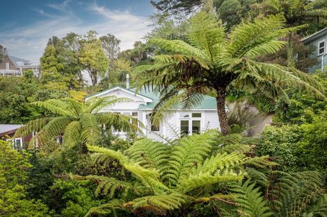 Photo of property in 23 Crieff Street, Northland, Wellington, 6012