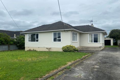 Photo of property in 96 Tiro Tiro Road, Levin, 5510