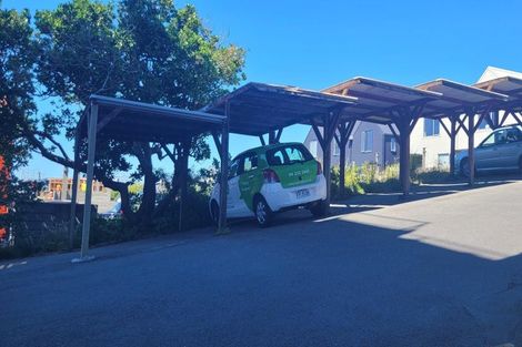 Photo of property in Mccallister Heights, 381u7 Adelaide Road, Newtown, Wellington, 6021