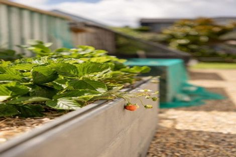 Photo of property in 19 Stingray Drive, Omokoroa, 3114