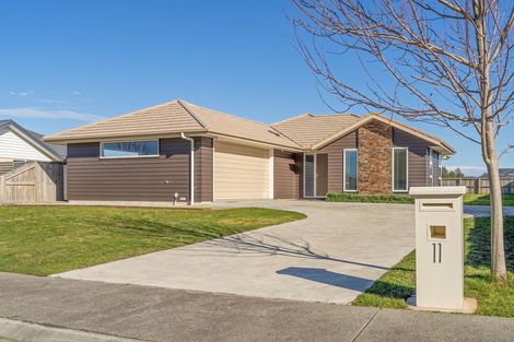 Photo of property in 11 Maple Grove, Kingston, Wellington, 6021