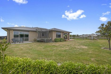 Photo of property in 20 Larlin Drive, Hawera, 4675