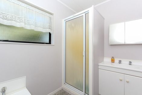 Photo of property in 245-247 Courtenay Street, Strandon, New Plymouth, 4312