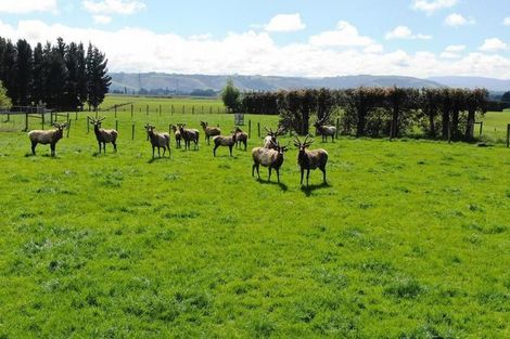 Photo of property in 68 Currie Road, Woodside, Outram, 9073