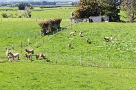 Photo of property in 68 Currie Road, Woodside, Outram, 9073