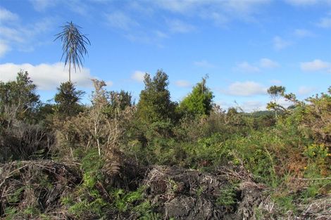 Photo of property in 240 Maori Creek Road, Marsden, Greymouth, 7872
