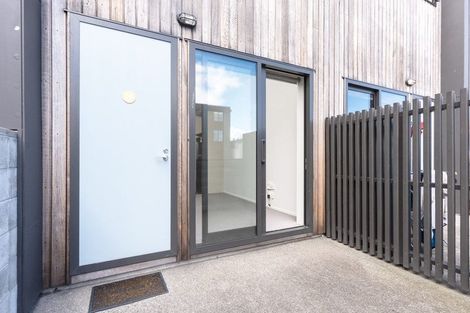 Photo of property in Aniva Terrace, 14 Arney Street, Newtown, Wellington, 6021