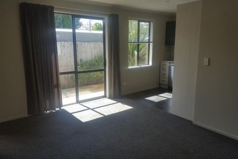 Photo of property in 191c Massey Street, Frankton, Hamilton, 3204