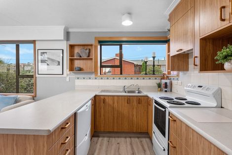 Photo of property in 239 Highcliff Road, Shiel Hill, Dunedin, 9013