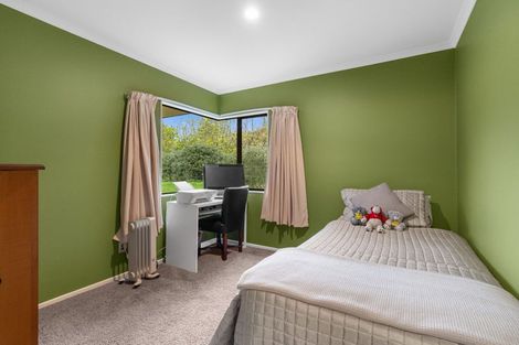 Photo of property in 62 Joblins Road, Levin, 5571