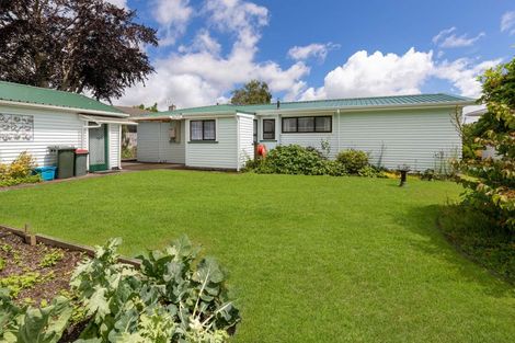 Photo of property in 29 Antonio Street, Stratford, 4332