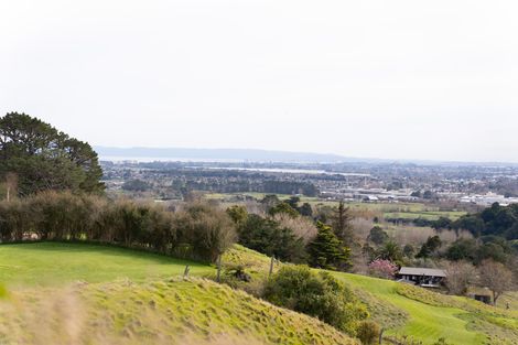 Photo of property in 528 Ponga Road, Opaheke, Papakura, 2584