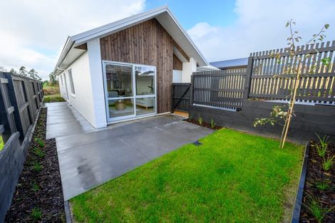 Photo of property in 25 Lumino Terrace, Peacocke, 3206