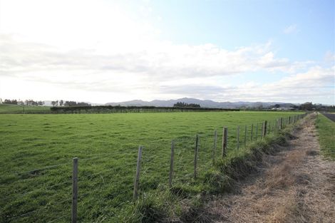 Photo of property in 144 Ford Road, Waihi, 3682