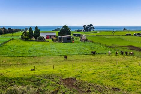 Photo of property in 196 Mokau Road, Urenui, 4377