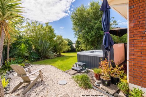 Photo of property in 41 Chequers Avenue, Chartwell, Hamilton, 3210