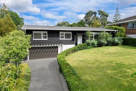 Photo of property in 46 Woodstock Road, Forrest Hill, Auckland, 0620
