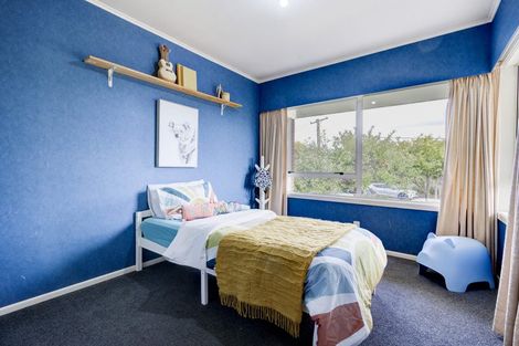 Photo of property in 14 Lamont Street, Chartwell, Hamilton, 3210