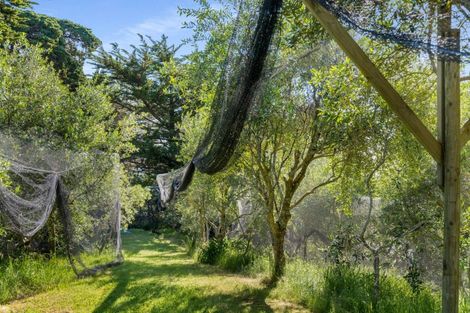 Photo of property in 1082 Thames Coast Sh25 Road, Kereta, Thames, 3575