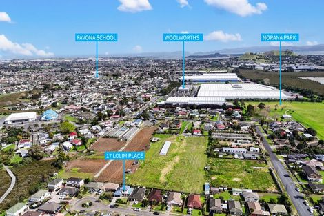 Photo of property in 17 Lolim Place, Favona, Auckland, 2024