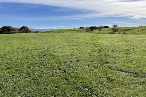 Photo of property in 127l Main North Road, Otorohanga, 3900