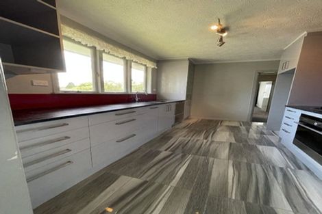 Photo of property in 10 Hinau Street, New Lynn, Auckland, 0600