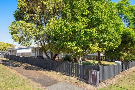 Photo of property in 12 Montgomery Avenue, Pukekohe, 2120