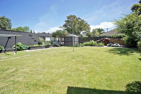 Photo of property in 121 Boucher Avenue, Te Puke, 3119
