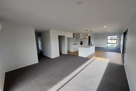 Photo of property in 64 Nethercote Way, Rolleston, 7614